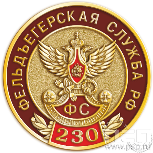 004.0. Значок "230 лет Государственной фельдъегерской службы РФ"