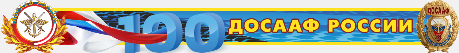 Медали ДОСААФ 100 лет