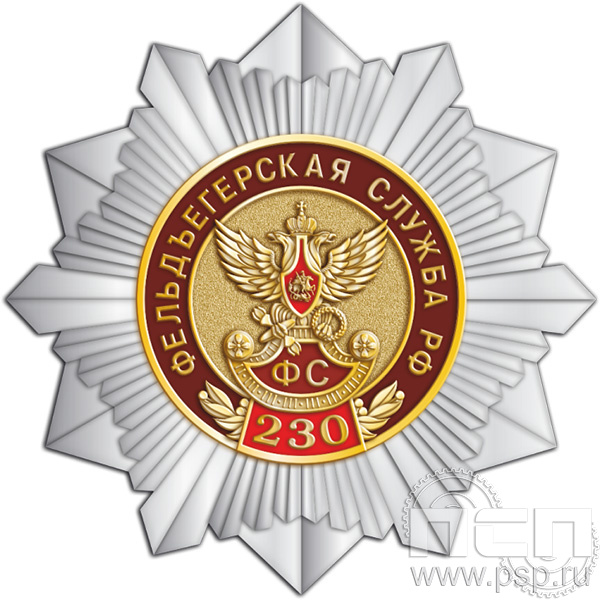 263.8. Нагрудный знак "230 лет Государственной фельдъегерской службы РФ"