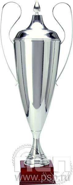 Кубок 1042-N/A (95см) D-250