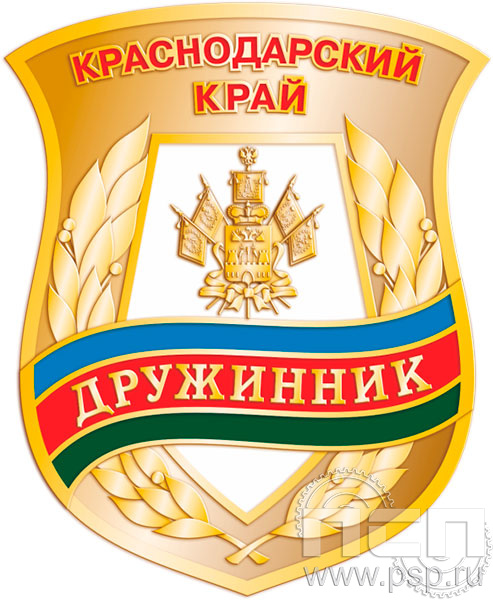 920.0. Нагрудный знак "Дружинник"