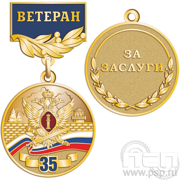245.0.56. Медаль " Ветеран. Служба безопасности ФСИН России 35 лет"