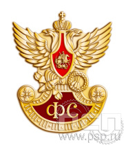 Значок "Фельдсвязь России" 800.0к