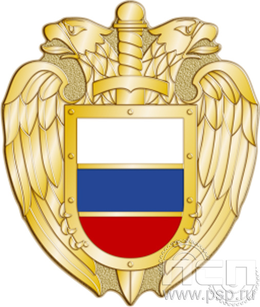 394.0. Значок "ФСО"