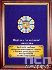 5.7.43.17. Панно с нагрудным знаком "325 лет ВМФ России" на бархате