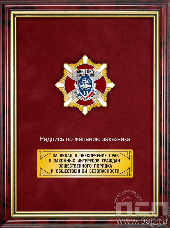 5.7.43.19. Панно с нагрудным знаком "30 лет Ассоциация ВБД ОВД и ВВ России" на бархате в рамке