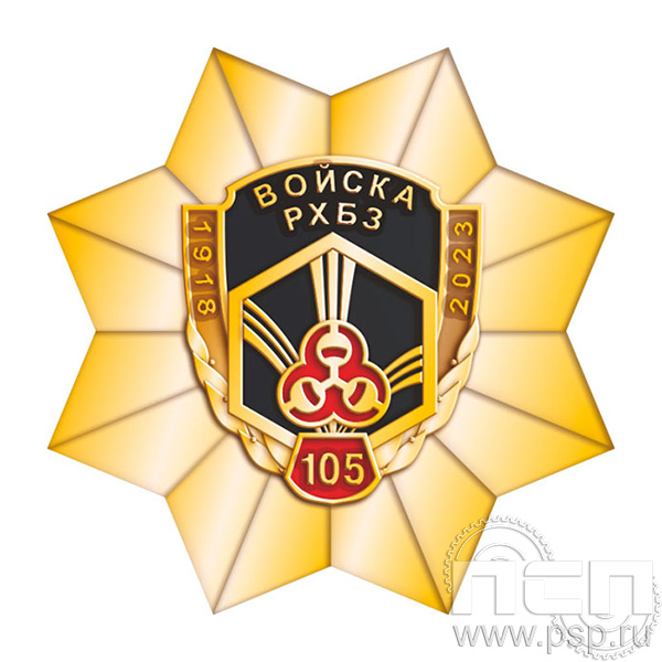 293.4. Нагрудный знак "105 лет РХБЗ"