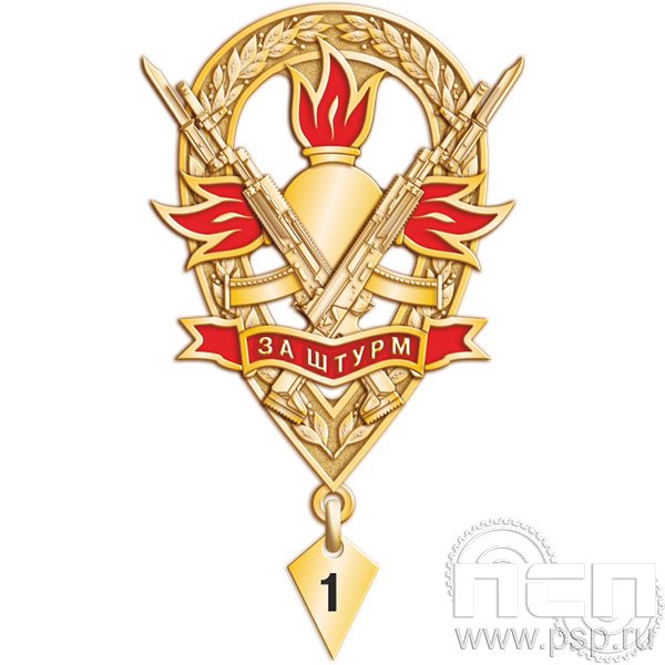 Картинка MO10 нагрудный знак "за штурм"