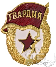 2039.0к. Нагрудный знак "Советская гвардия"