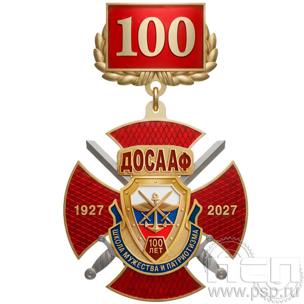 5.3к (b) Нагрудный знак 3 уровня "100 лет ДОСААФ России"