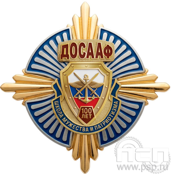 5.3(a). Нагрудный знак "100 лет ДОСААФ России"