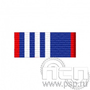 6.6.1. Планка орденская к медали "95 лет ДОСААФ России"