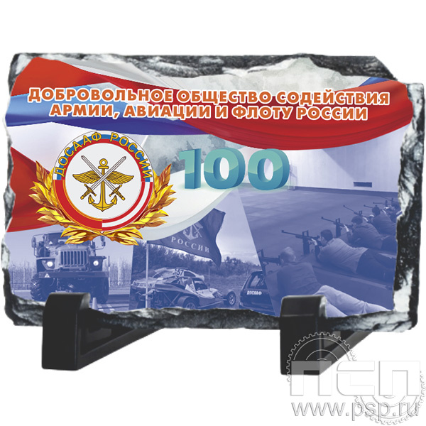 8.20.66 Фотокамень "100 лет ДОСААФ России"