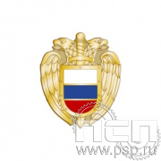 394.0. Значок "ФСО"