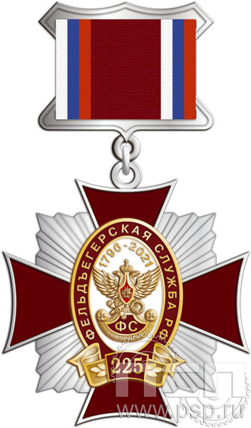 86.53.5. Нагрудный знак "225 лет Фельдъегерская служба"