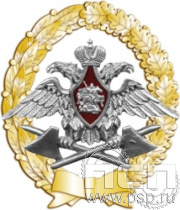 05.82. Нагрудный знак "Инженерные войска РФ"
