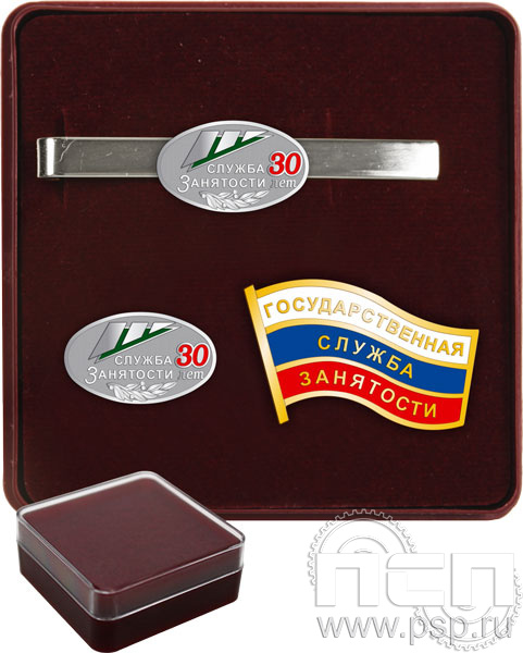 9.6. Комплект наградной с заколкой для галстука и значками "30 лет Служба занятости"