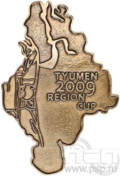 731.0. Значок Tyumen 2009 region cup