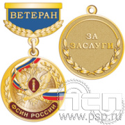 245.0.56.  Медаль  "Ветеран. Психологическая служба ФСИН России 35 лет"