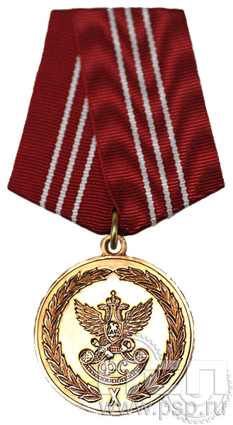 Медаль «За службу» III степени ГФС6