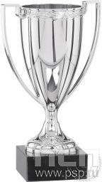 Кубок 9025/S (20см)