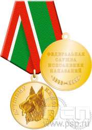 Медаль "Кинологическая служба ФСИН" 245.0.1(а)к