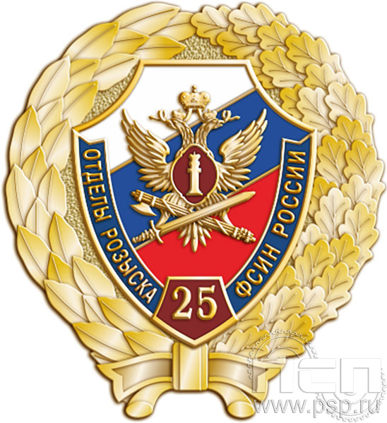 5.306.6. Нагрудный знак "25 лет Отделы розыска ФСИН России"