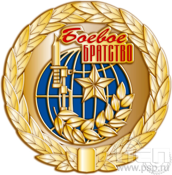096.0. Значок "25 лет Боевое братство"