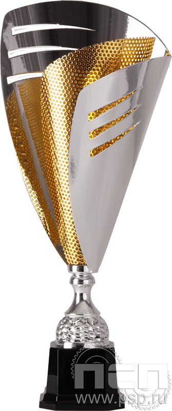 Кубок 2002D (47 см)