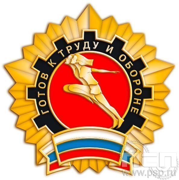 1252.0. Значок Готов к труду и обороне 1 разряд