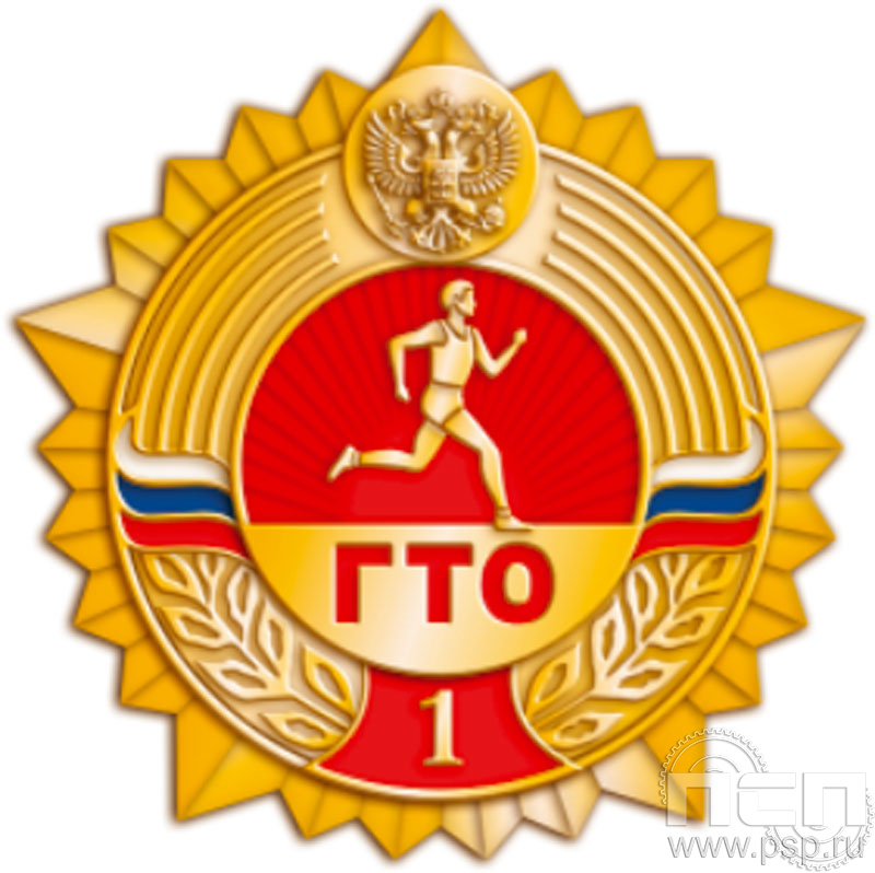 1347.0. Значок ГТО 1 степень