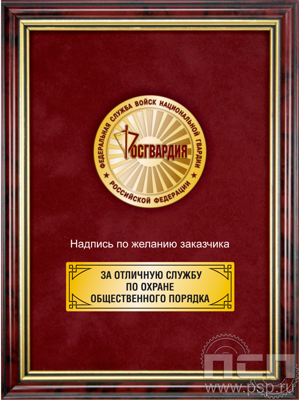 5.7.702.0. Панно с медалью "Росгвардия" на бархате в рамке