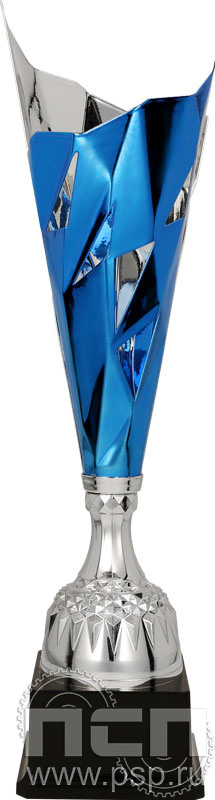 Кубок 3138A (50см)
