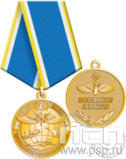 245.0.1(e). Медаль "110 лет Инженерно-авиационная и Штурманская службы ВВС"