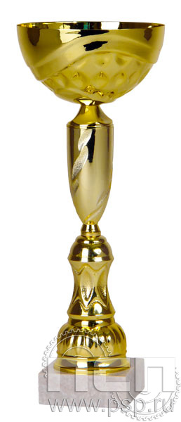 Кубок 9621D (28,5 см) D-100