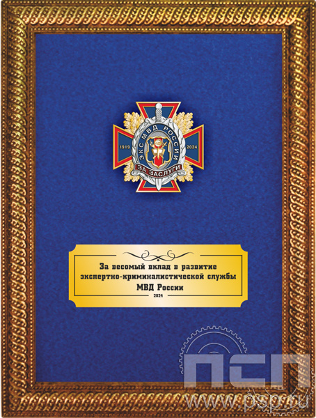 5.7.01.199. Панно с нагрудным знаком "105 лет ЭКЦ МВД России" на бархате в рамке