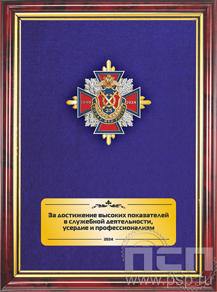 5.7.01.199. Панно с нагрудным знаком "25 лет ООПАЗ МВД России" на бархате в рамке