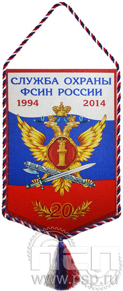 Вымпел «20 лет Служба охраны ФСИН России»