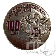 Значок Госсанэпидслужба России 100 лет (нейзильбер) 006.0к