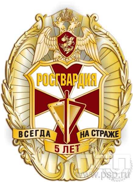 162.38. Нагрудный знак "5 лет Росгвардия"