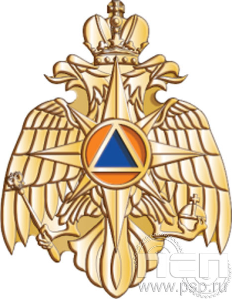 222.0. Значок "Орел МЧС"