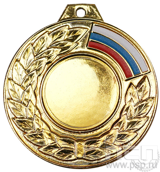 Медаль RS02/G 50(25)