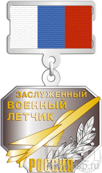 300.1.17. Нагрудный знак "Заслуженный военный летчик России"