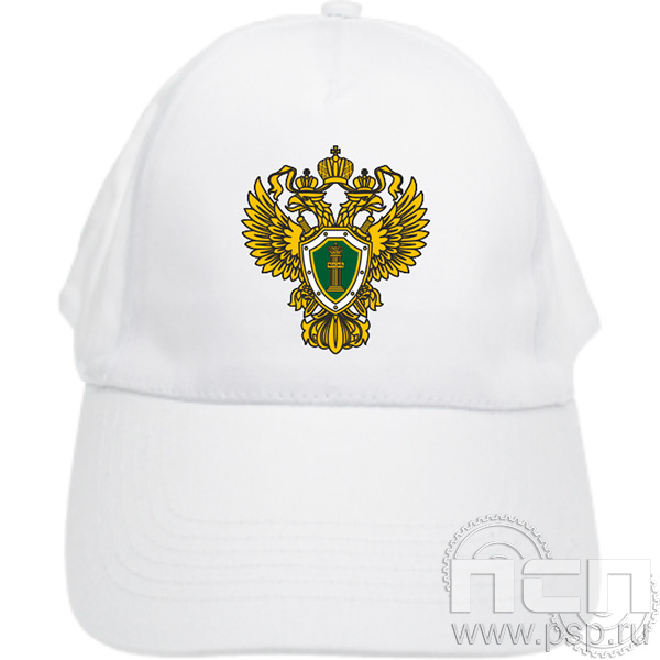 8.9.3 Бейсболка с нанесением символики "Прокуратура России"	