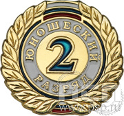 Значок 2 разряд юношеский СРиЗ8