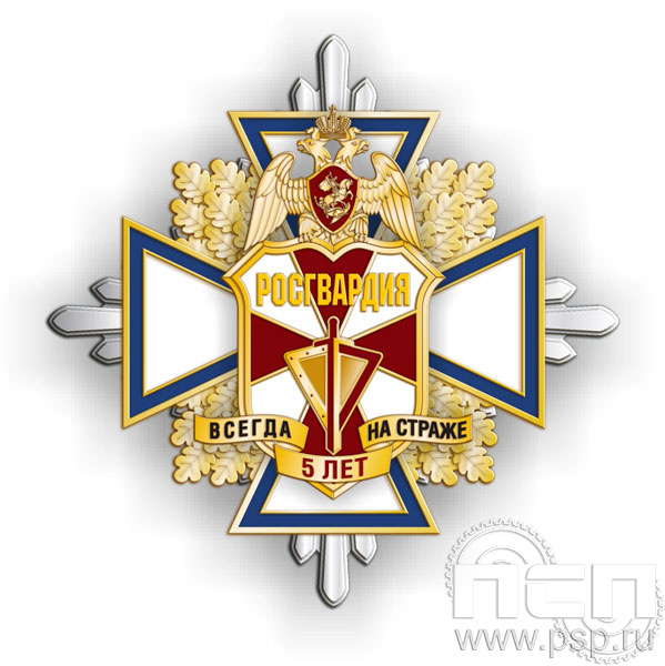 01.213. Нагрудный знак "5 лет Росгвардия"