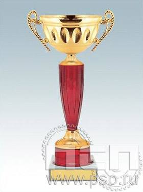 Кубок КМ1473A (27см) D-100