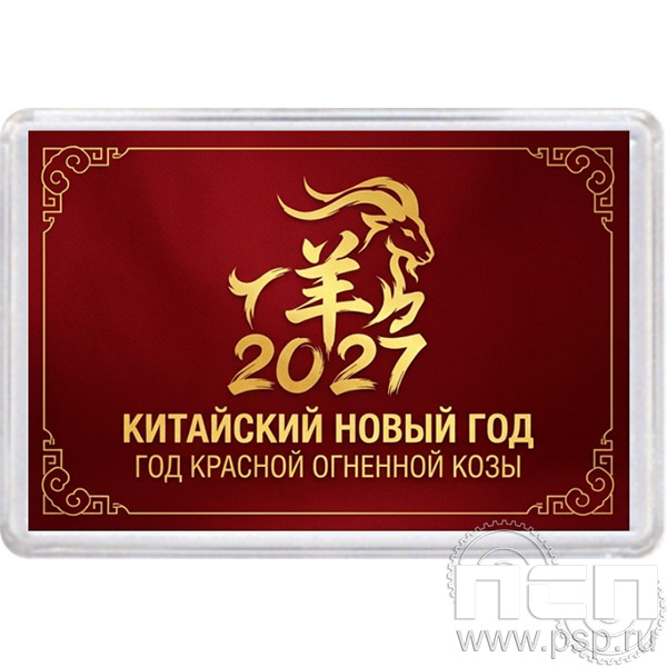 8.20.63. Магнит акриловый прямоугольник "Новый год 2027"