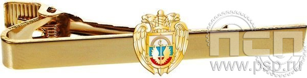 6.3.1(385). Заколка для галстука с эмблемой