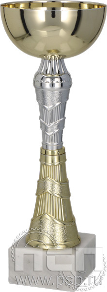 Кубок 8268D (19см) D-70